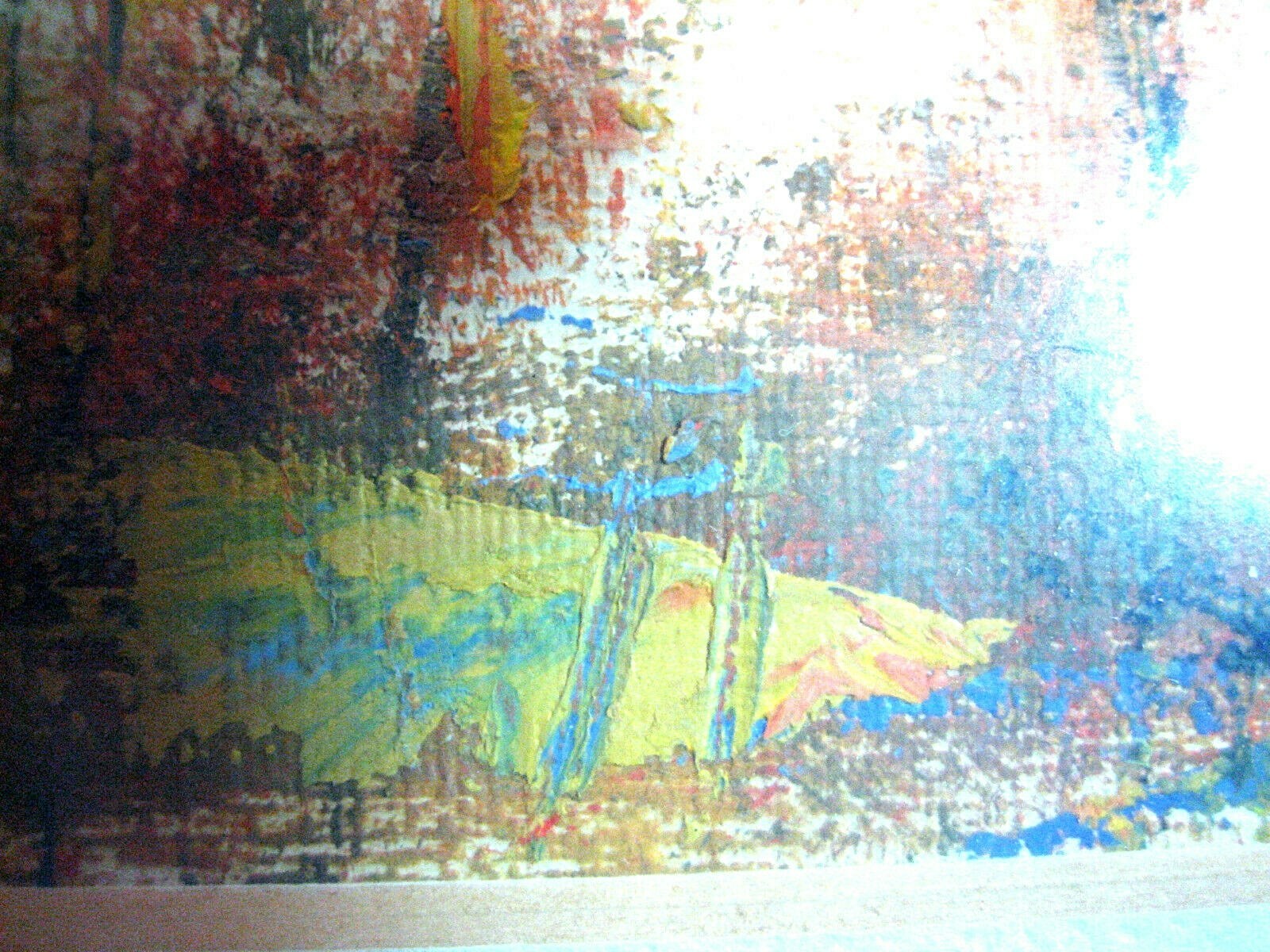 Foto 5 di 12