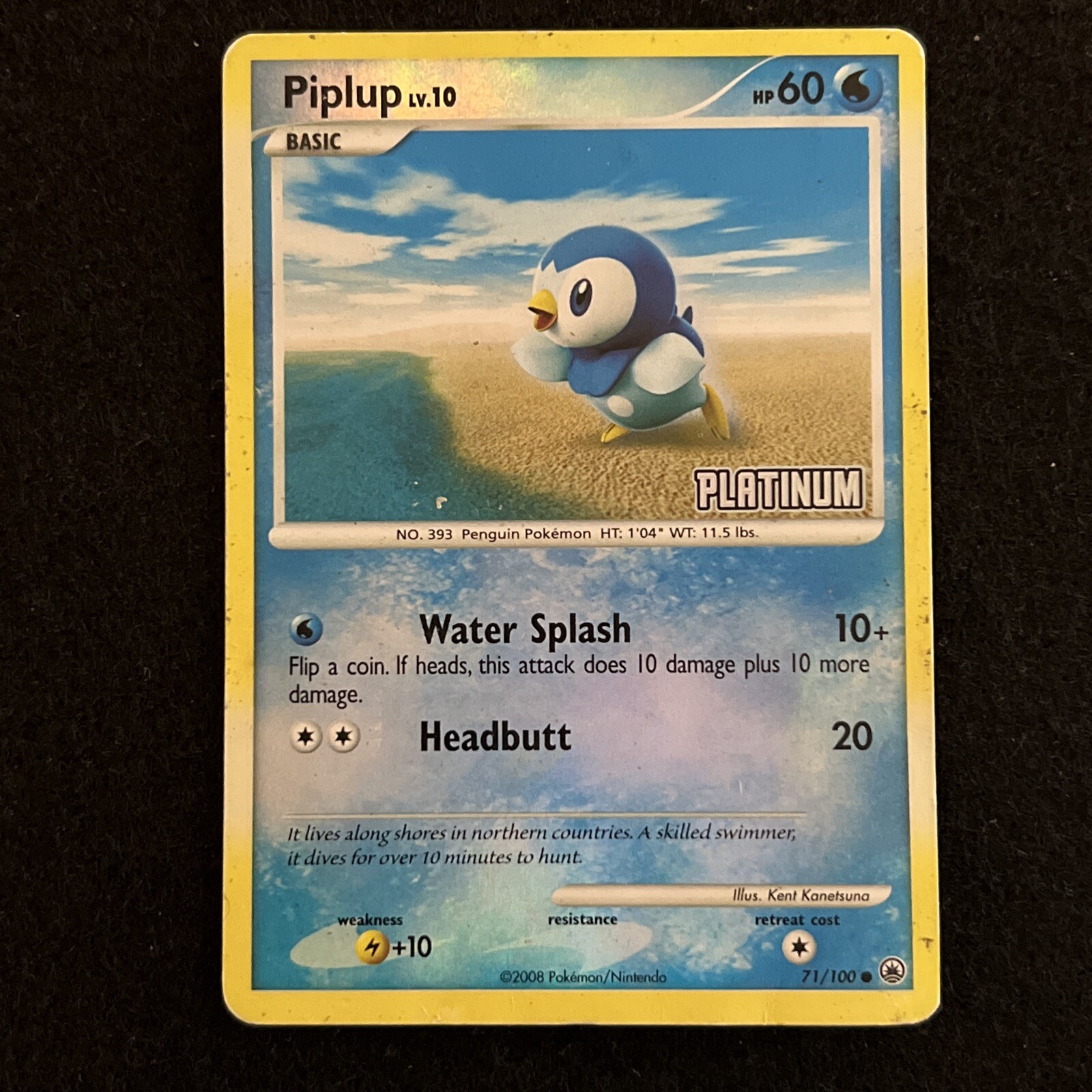 Pokemon PIPLUP 71/100 - Platinum Burger King Promo - MP/Mod Play