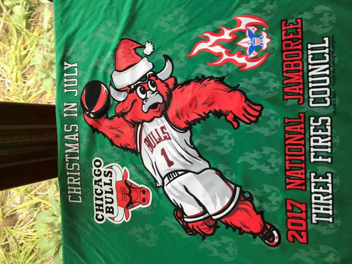 Chicago bulls best sale 2017 christmas jersey