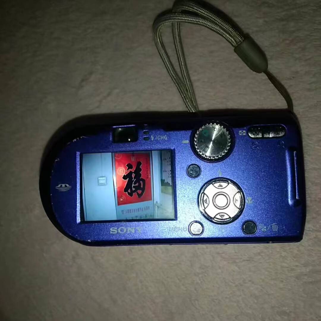 Sony Cyber-shot DSC-P100 5.1MP 3x Optical Zoom CCD Digital Camera