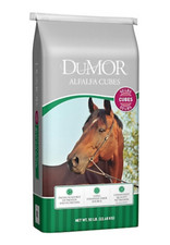 Premium Alfalfa Hay Cubes – 50 lb High-Quality Horse Feed for Optimal Nutrition
