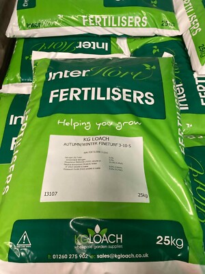 pool looks cloudy and green