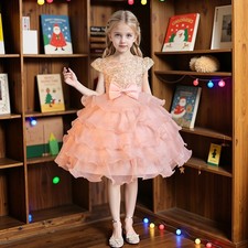 Kids Girls Formal Princess Dress Christmas Party Girls Evening Gown Birthday