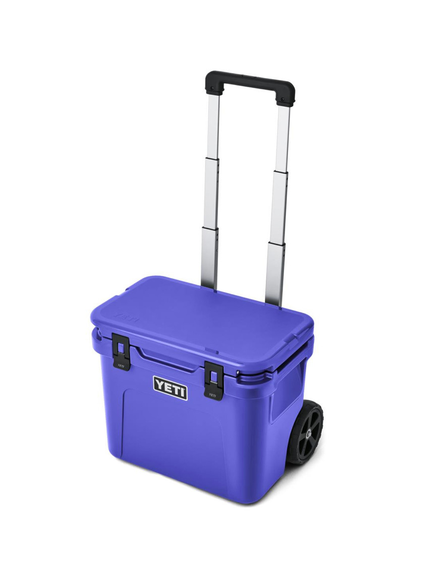 Ultramarine Violet Brand New