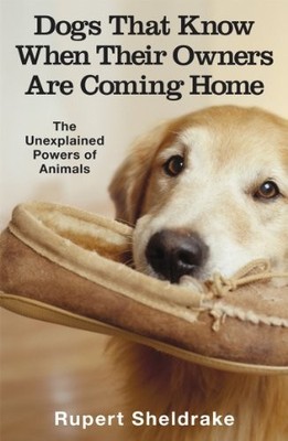 Dogs That Know When Their Owners Are Coming Home by Sheldrake, Rupert 0099255871