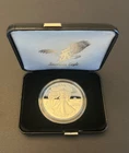 2025 Laser Engraved American Eagle - Silver Proof Coin w/COA - Free Shipping