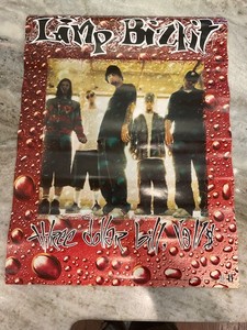 LIMP BIZKIT  THREE DOLLAR BILL YALL 1997 PROMO POSTER 18x24