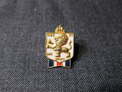 WWII British War Relief Society Pin brooch medal Dieu Et Mon Droit Lion ...