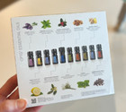 $180 doTERRA Family Essentials Kit - Pack of 10 (5ml) Bottles - NEW SEALED BOX — photo 1