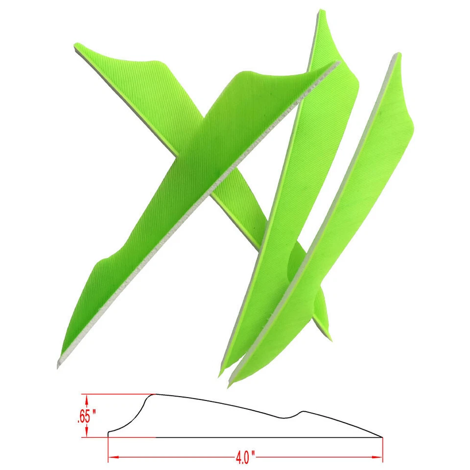 50X 4" Archery Arrow Feather Fletches Natural Turkey Fletching Right Wings DIY - Image 3 of 4