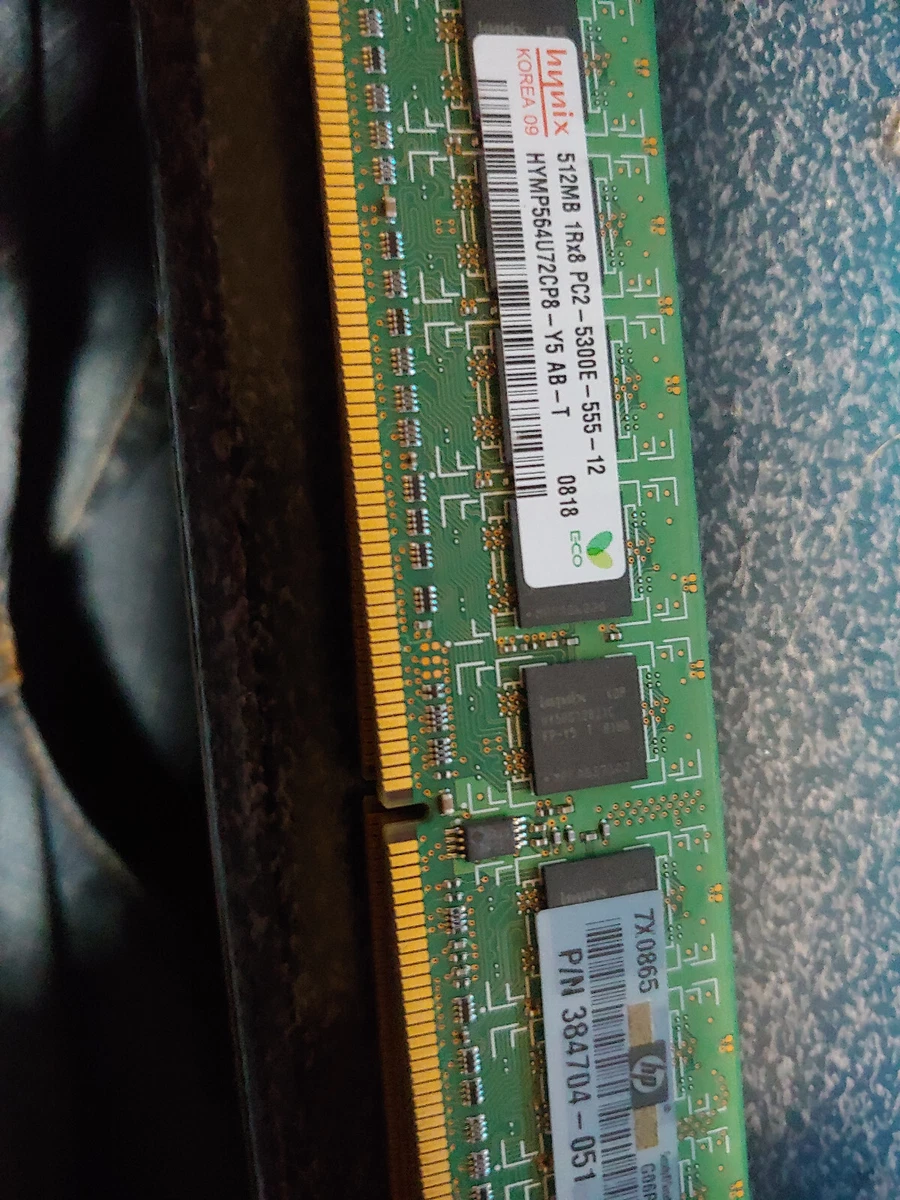 Hynix PC2-5300 DDR2-667 Computer Memory (RAM) 512 MB Capacity per