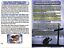 thumbnail 6 - Gospel Bible Tracts: RAPTURE. Pack of 32 units in 2 Covers, 16 Pgs Ea. POWERFUL
