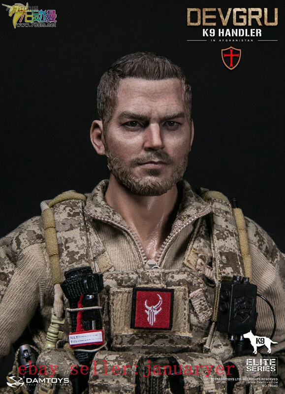 Perfect Damtoys 1/6 78040 Devgru K9-Handler In Afghanistan