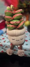Greenhouse By RUSS Kellytoy 10" shelfsitter plush stuffed potted plant SUCCULENT