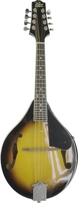 Rogue RM-100A A-Style Mandolin Sunburst