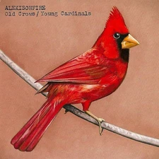 CD Alexisonfire Old Crows Young Cardinals RRCY21346 Roadrunner Records 00110