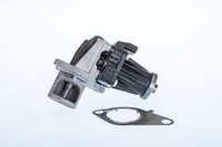 Borgwarner Agr-Ventil Elektrisch FüR Dacia Lodgy 1.5 Dci Dokker Renault Clio IV
