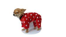 Dog Chihuahua Pyjamas PJ