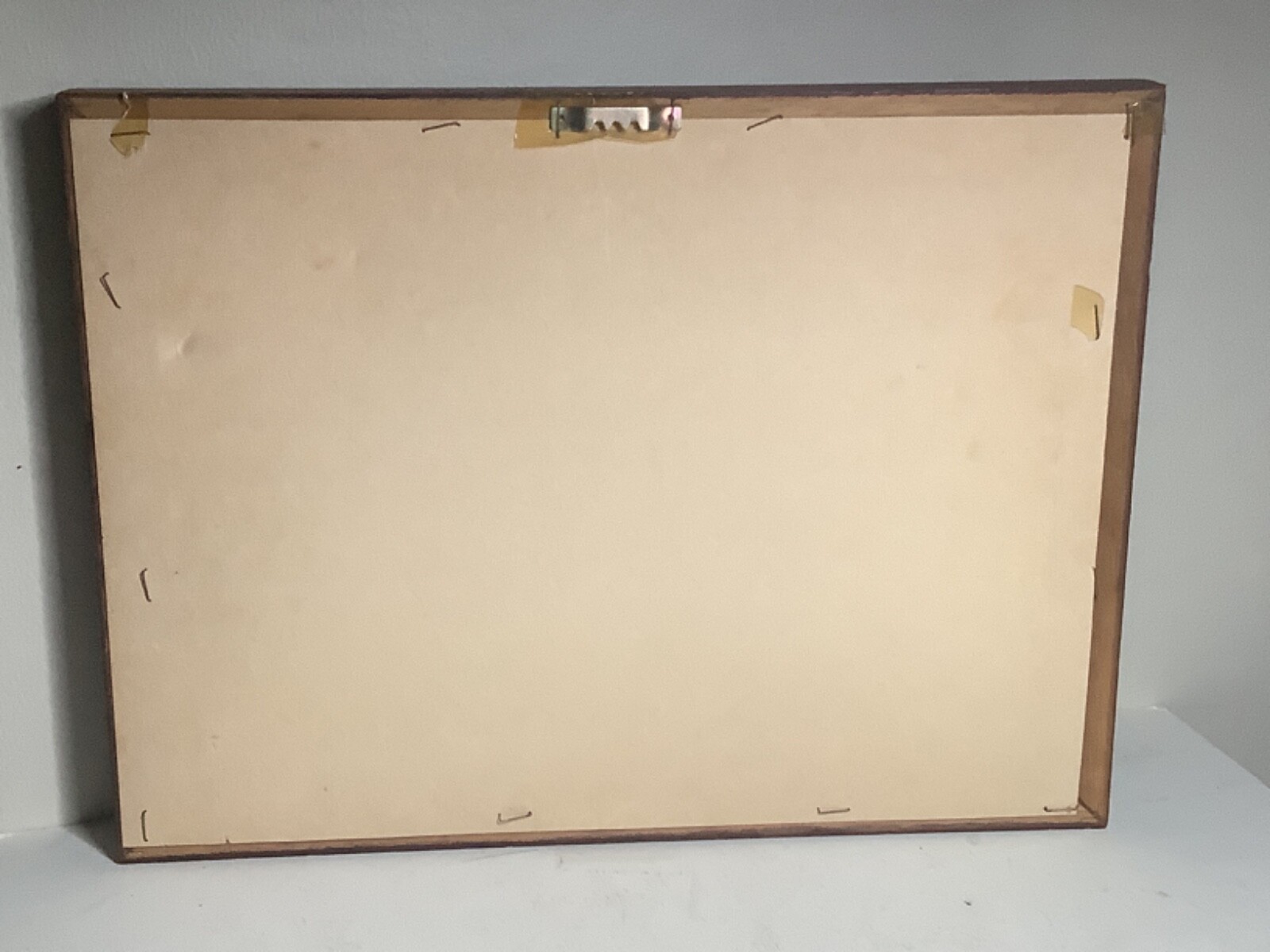 Picture 5 of 5