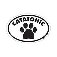 Catatonic Cat Euro Dog Car Magnet