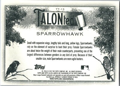 2023 Allen & Ginter #TT-13 TALO Ted Sparrowhawk | eBay
