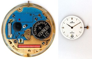 delma les supremes watch