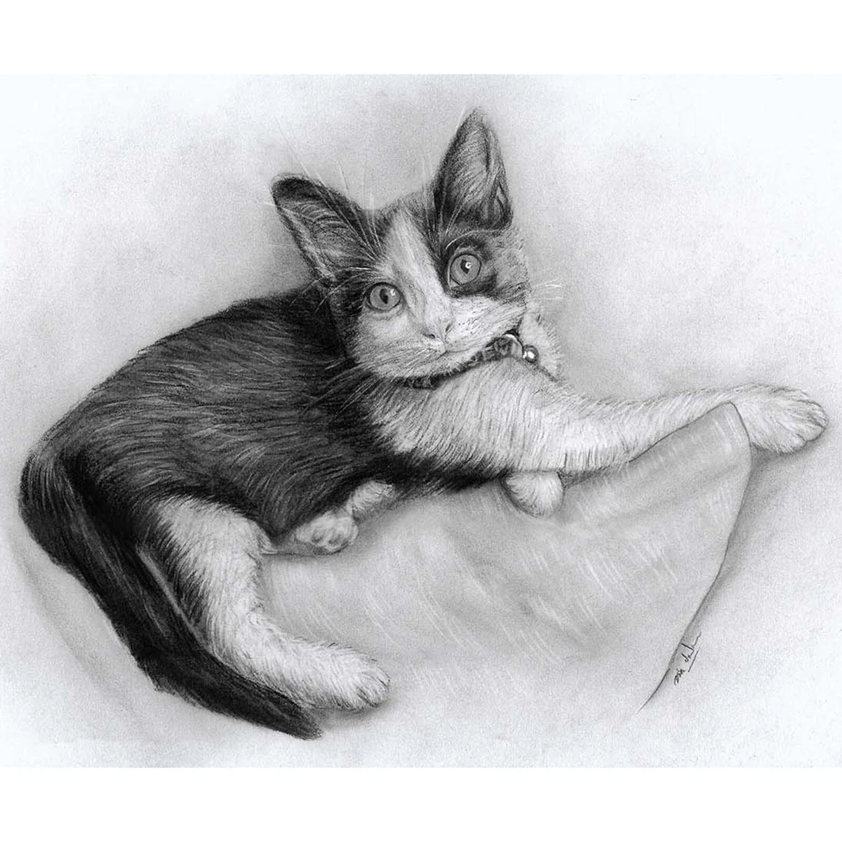 Realistic Pencil Animal Drawings Drawing A Cat s Head Learn How To Realistic Pencil Animal Drawings Drawing A Cat s Head Learn How To