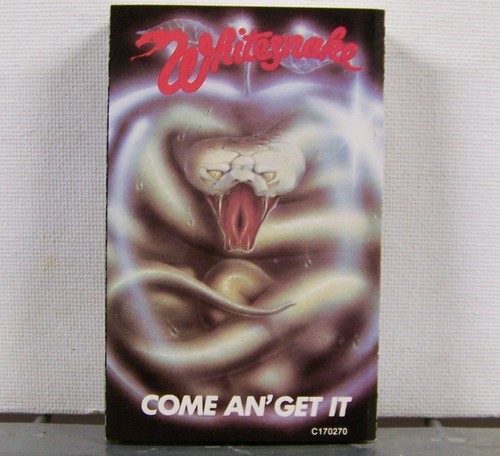 Various Genres of Rock n' Roll, Pop, Blues, Metal Music Cassette Tapes "Choice" - Picture 410 of 421