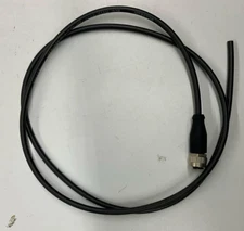 Balluff BCC0E6M Cable M12, 5-Pin, 4-Pole Single End 2M