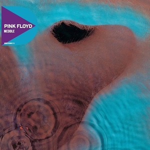 Pink Floyd Meddle | eBay