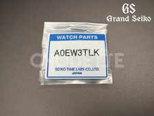 OEM Grand Seiko Evolution 9 SLGA015 / 9RA5-0AC0 Titanium Band Extension Link