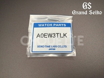 OEM Grand Seiko Evolution 9 SLGA015 / 9RA5-0AC0 Titanium Band Extension Link