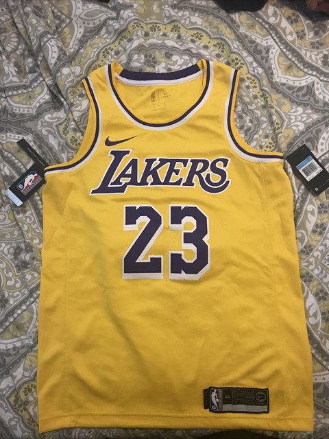 lebron james icon edition swingman