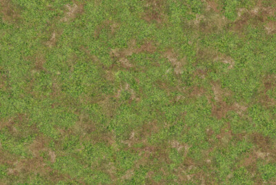 Spring Grass: Wargaming / Battle Matte 3x3 44x30 4x4 60x44 6x3 6x4 90x44 8x4 40k