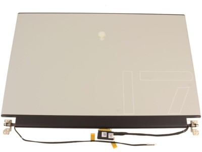 WRT12 NEW Dell Alienware M17 R2 17.3