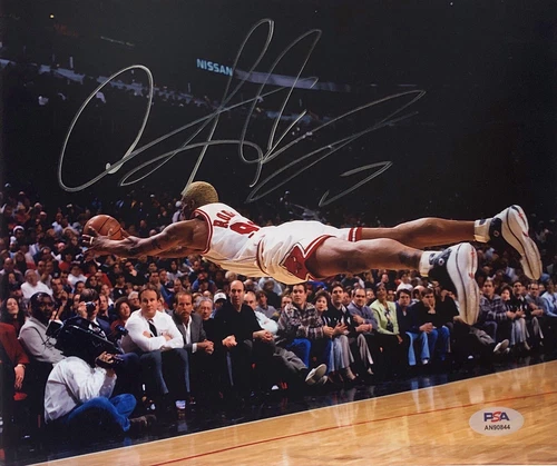 DENNIS RODMAN CHICAGO BULLS SIGNED AUTOGRAPH  8X10 PHOTO PSA/DNA COA