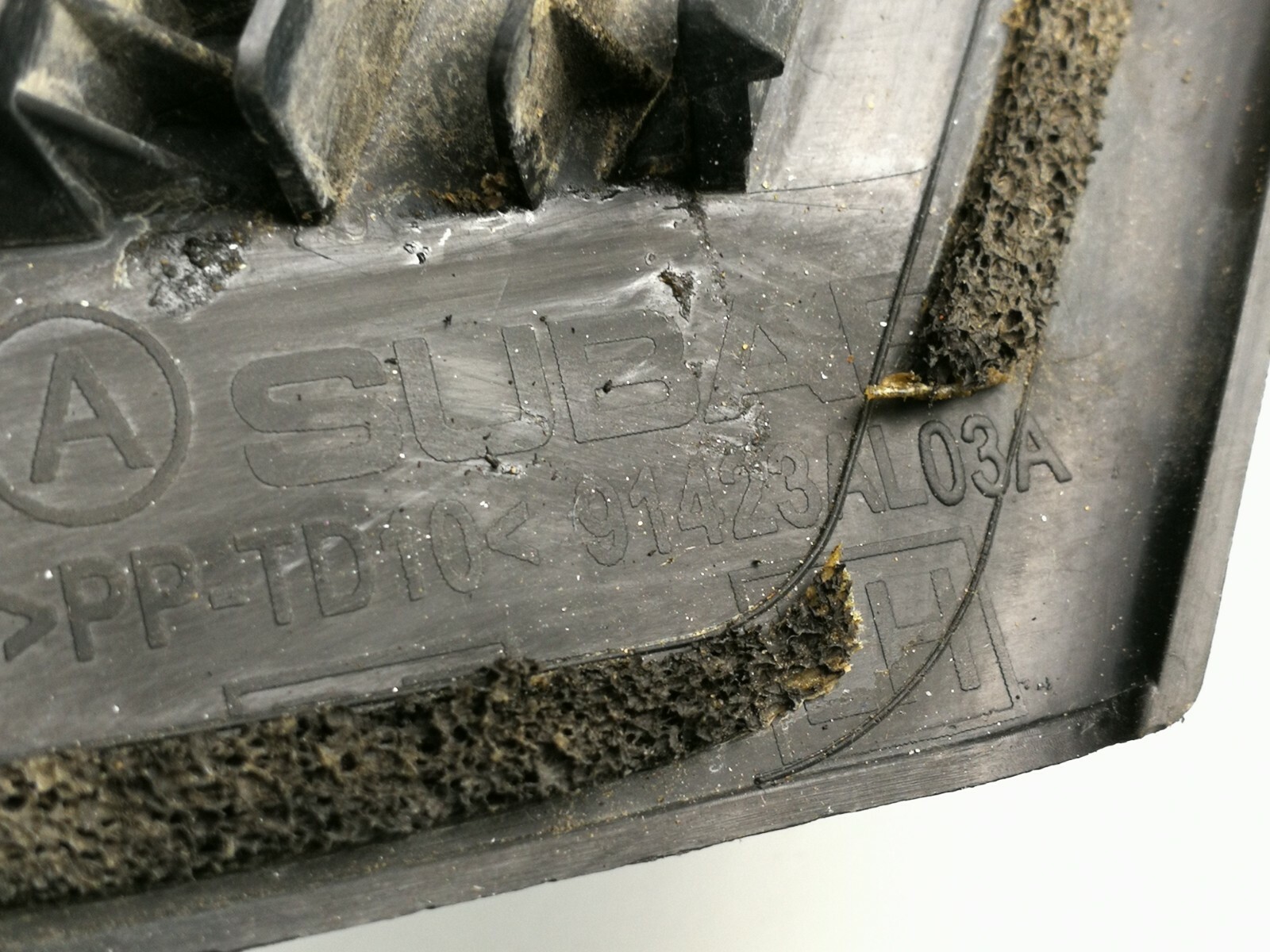 Picture 6 of 6
