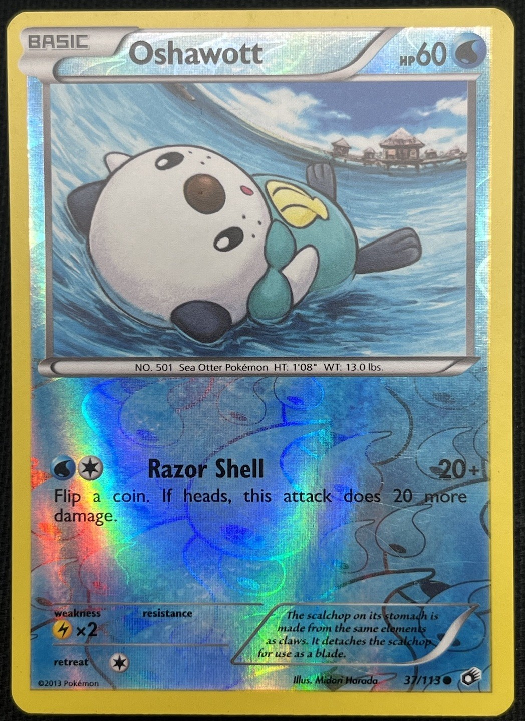 Pokémon TCG Oshawott Legendary Treasures 37/113 Reverse Holo Common LP