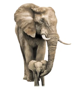Elephant Safari Self Adhesive Vinyl Sticker