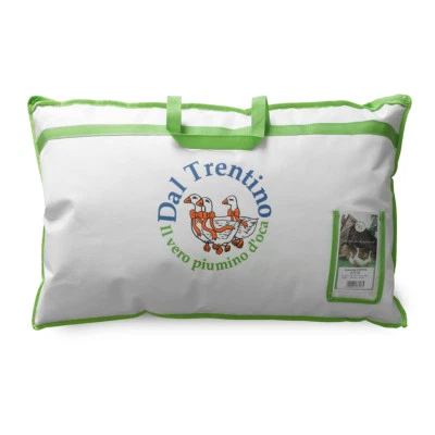 Guanciale Cortina di Daunex in piuma d‘oca R969
