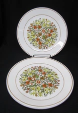 Corelle Indian Summer Set of 4 Dinner Plates 10 1/4" Diameter