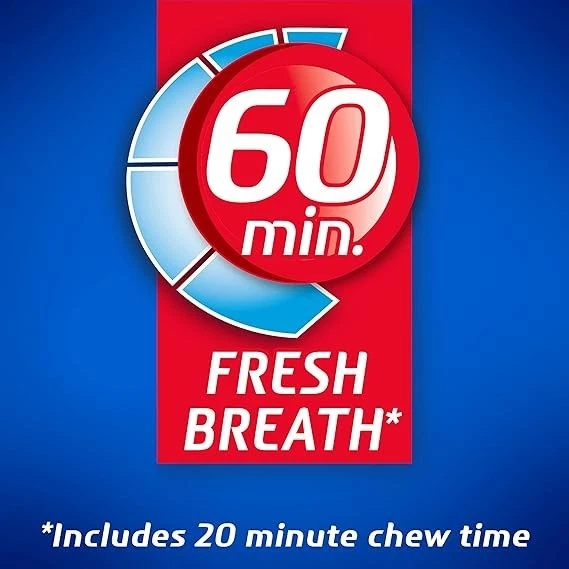 Goma de mascar Dentyne Ice Peppermint sin azúcar 9 paquetes de 16 piezas (144 en total) Foto 4 de 4