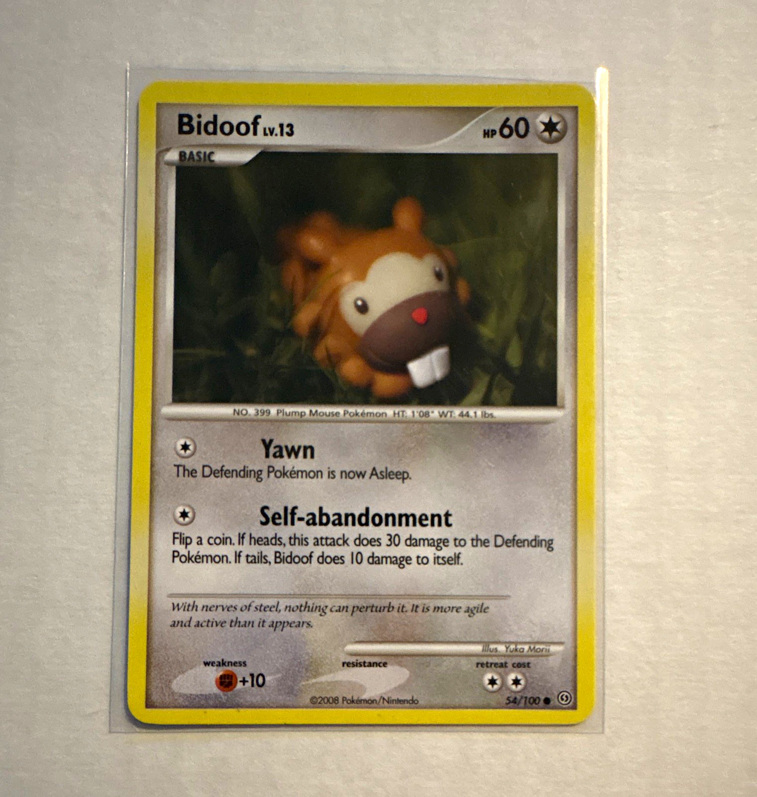 The Pokémon Company Bidoof 54/100 Stormfront 2008 Regular Common 60 HP EN