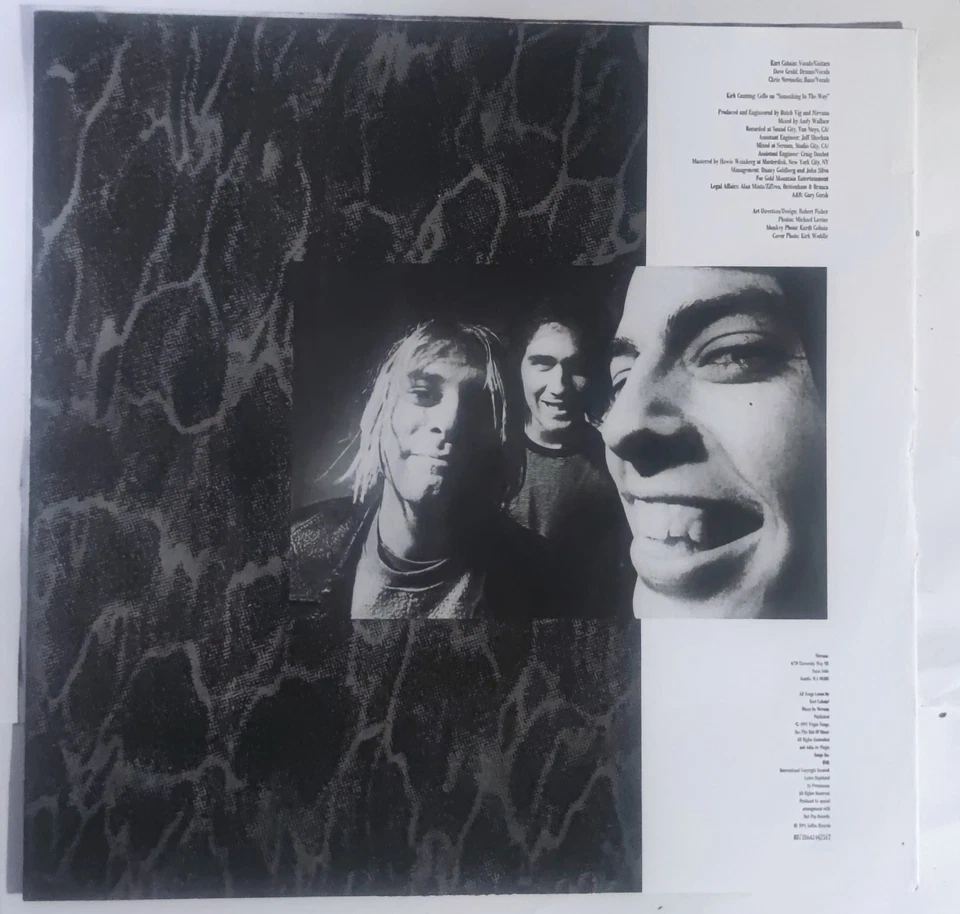 Nirvana Nevermind · Lp · 2020, foto 3 di 5
