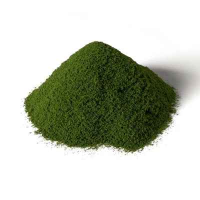 Woodland Scenics Spring Grass WOOG6436 N Accessories