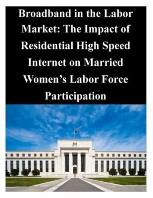 Broadband In The Labor Market: The Impact Of Residential High Speed Interne...
