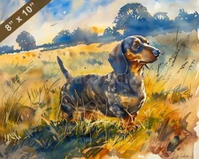 Dachshund watercolor painting by a sunlit meadow 8x10 Print 