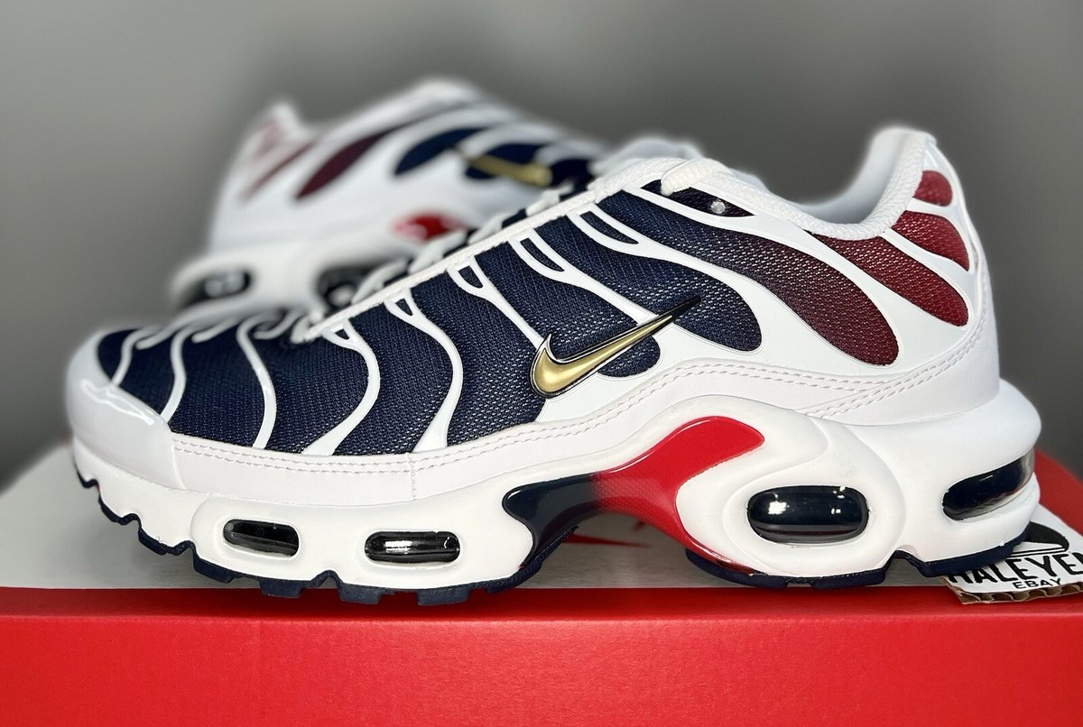 Size 15 - Paris Saint-Germain x Nike Air Max Plus Home Kit for