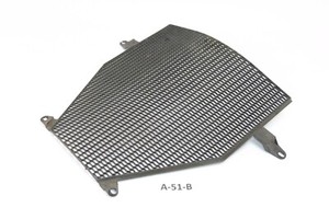 BMW K 1200 R K12R 2007 - Kühlergitter Kühlerverkleidung A51B