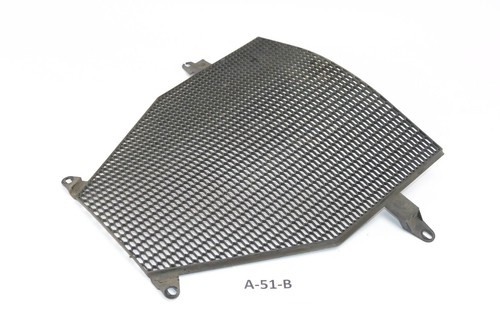 BMW K 1200 R K12R 2007 - Kühlergitter Kühlerverkleidung A51B